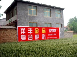 大渡口如何让墙体广告展现最大化效果