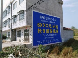大渡口墙体广告质量分析