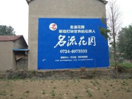 大渡口农村墙体广告的长尾效应