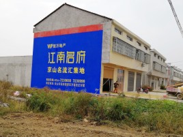 大渡口农村墙体广告在不同形式上面展现的不同特色
