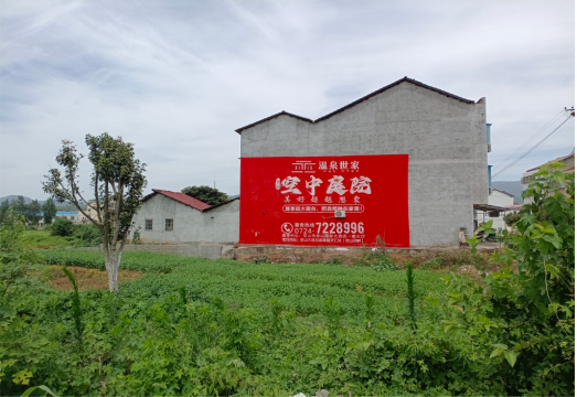 大渡口做墙体广告的意义