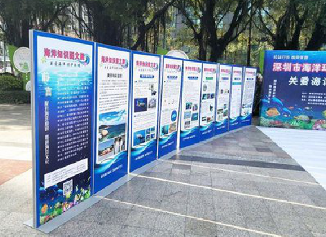 大渡口KT板的种类和知识。